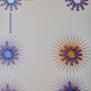 Meet your Posher, Onion